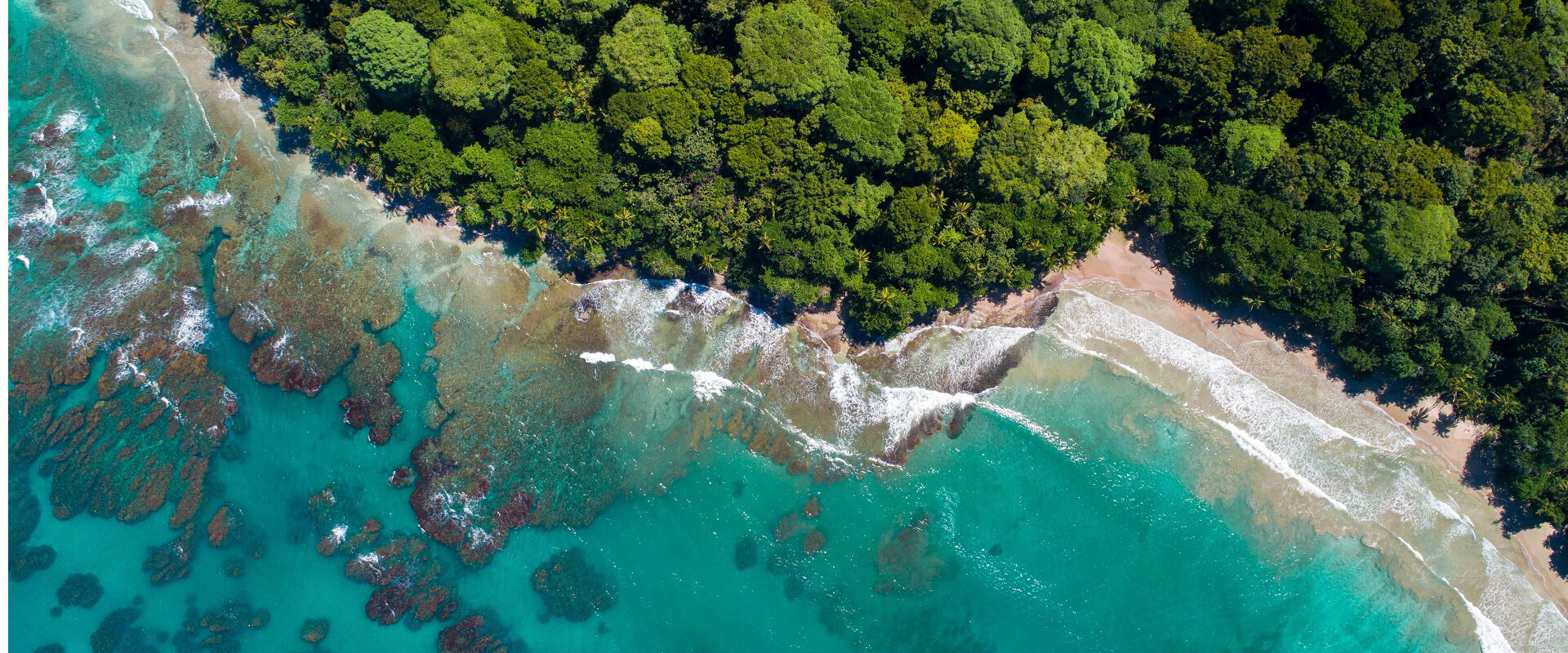 Corcovado Park Costa Rica Tour